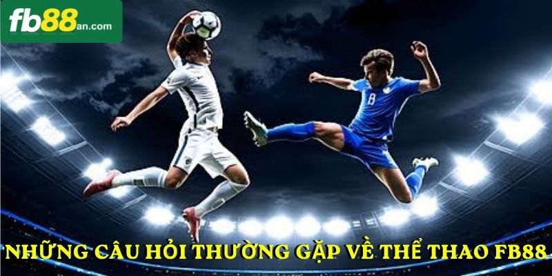 Những câu hỏi thường gặp về thể thao FB88