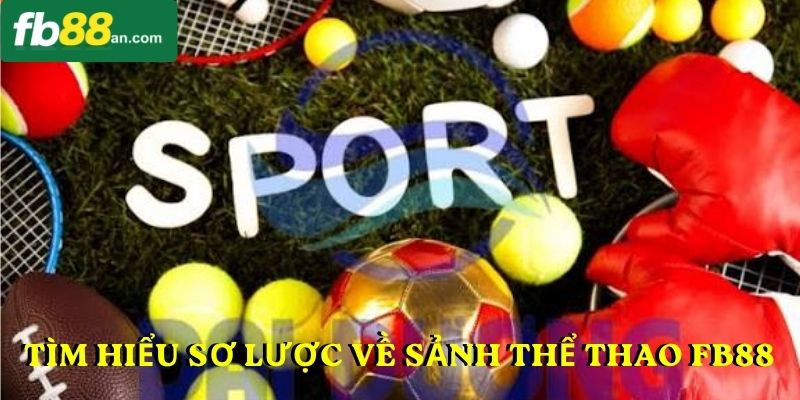 Tìm hiểu sơ lược về sảnh thể thao FB88